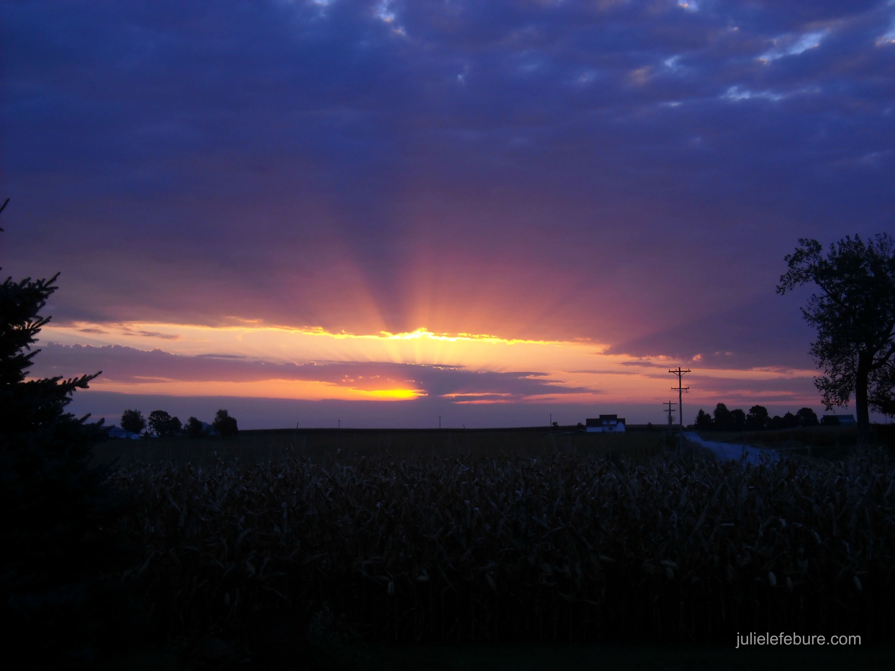 Loving Where We Live