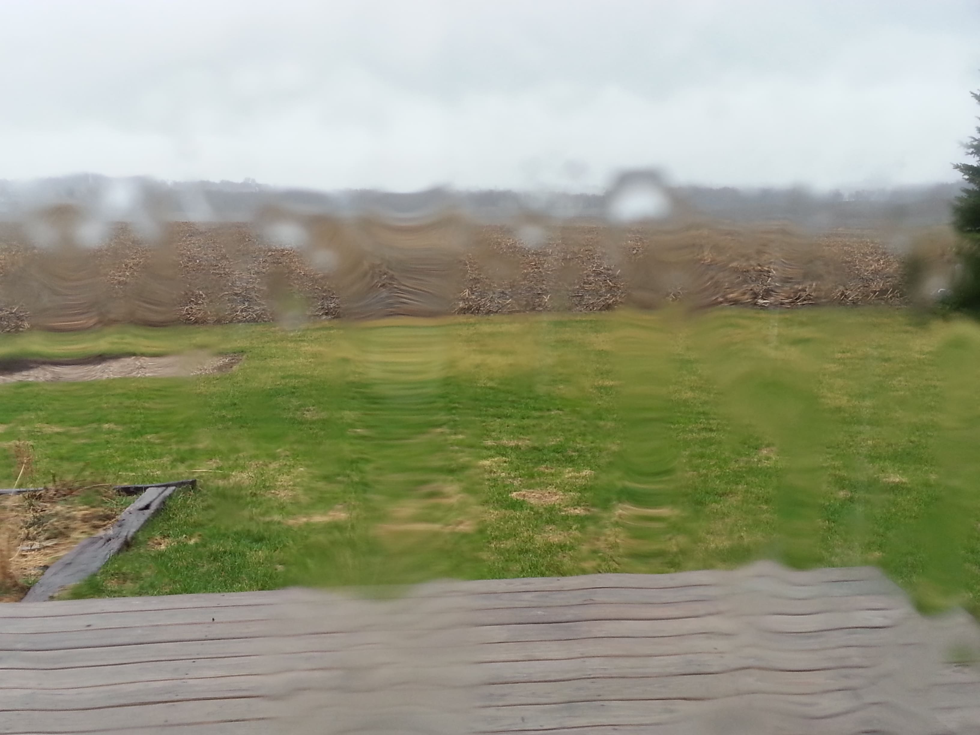 The Day the Grass Turned Green
