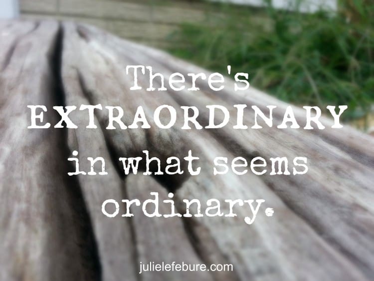 The Extraordinary Not Ordinary Life