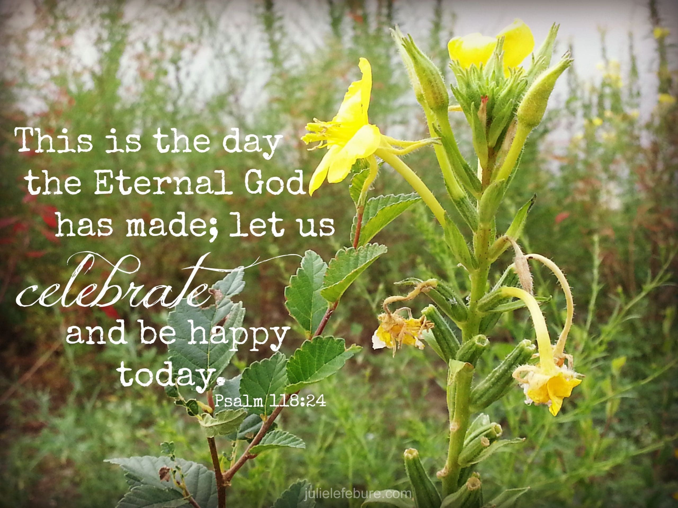 It’s A Good Day To Celebrate