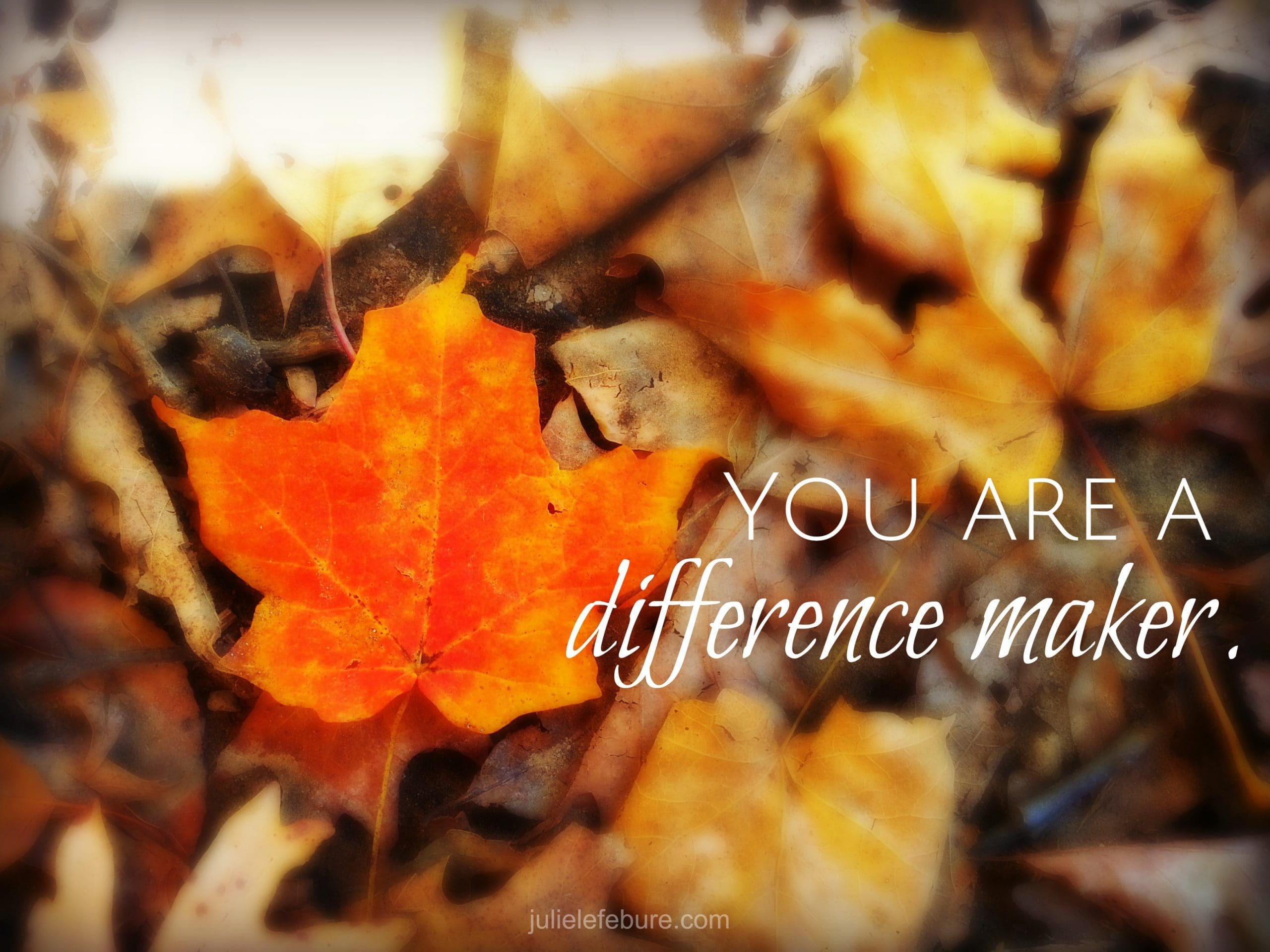 Friend, You Are A Difference Maker