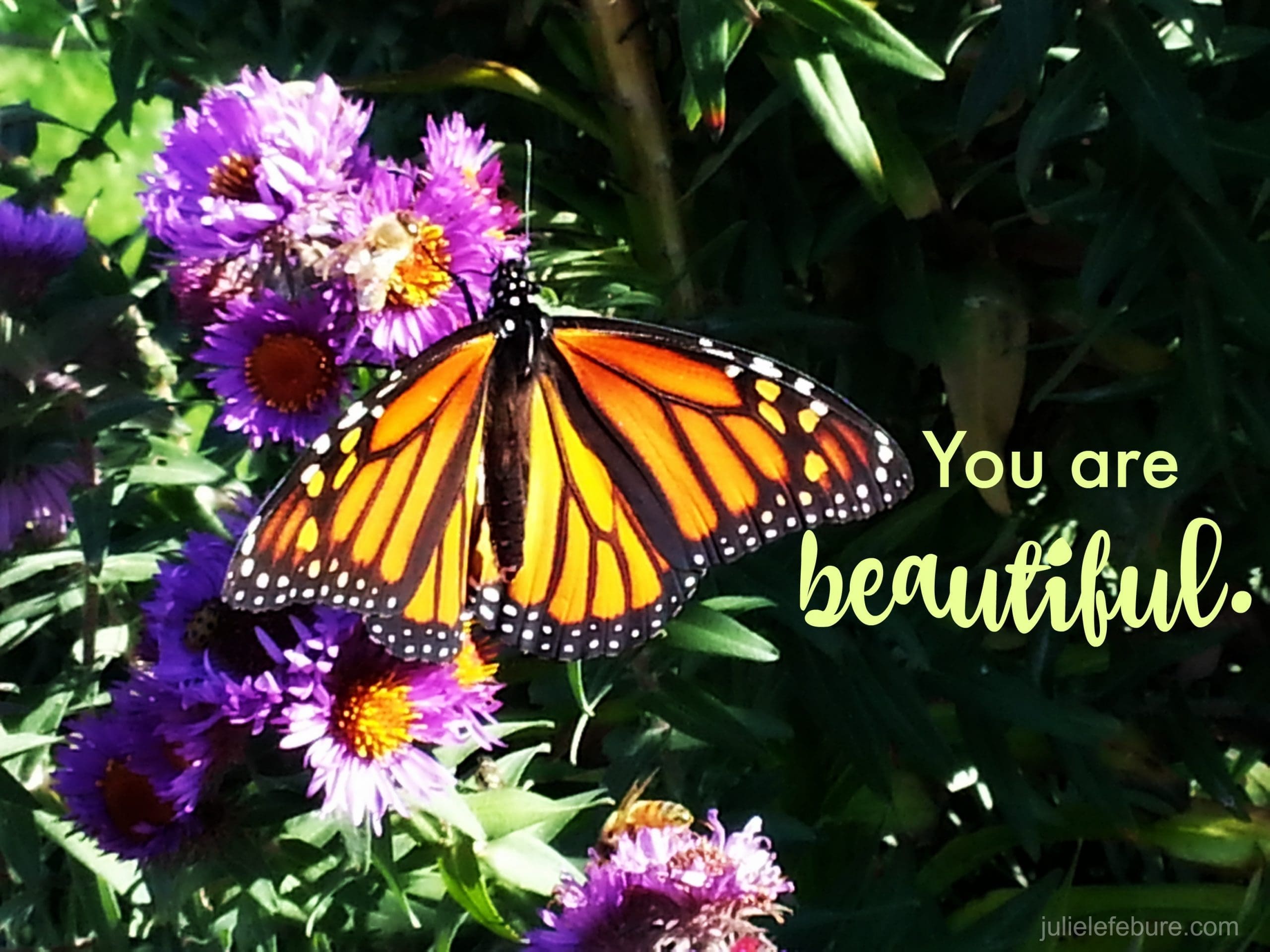 Friend, You Are Beautiful