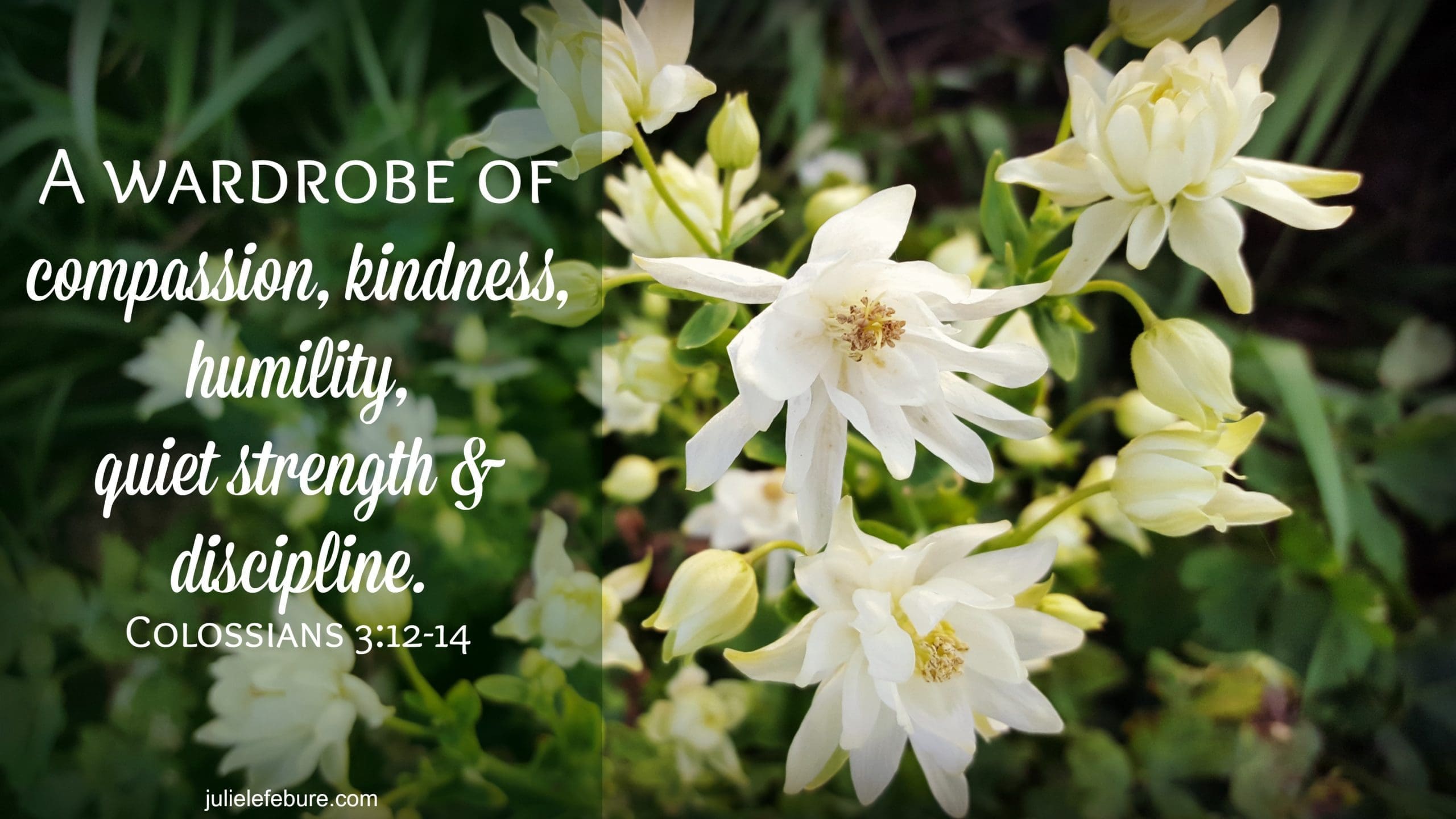 The Most Important Piece In Our Wardrobe