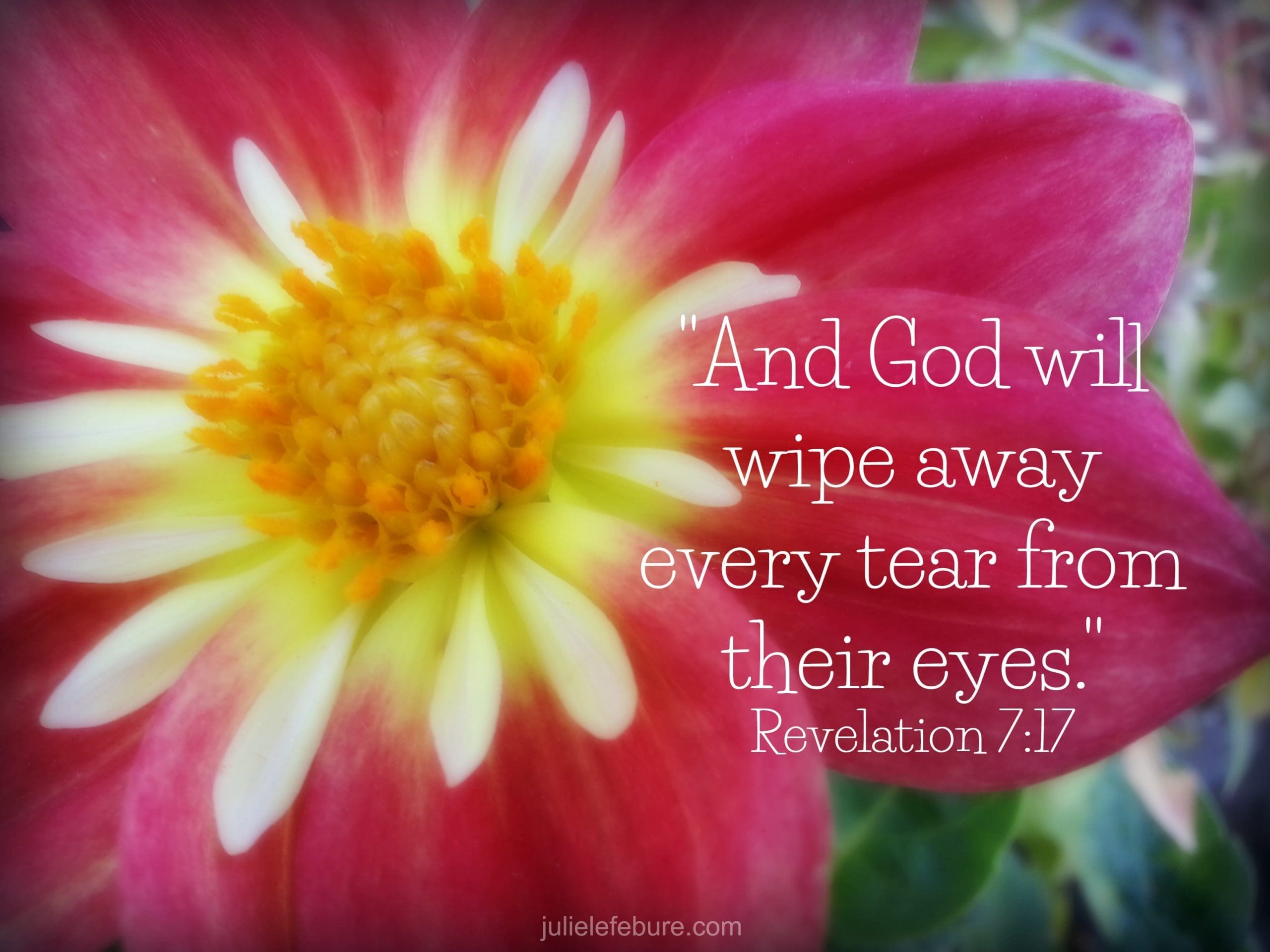 When Tears Appear In The Check Out Lane