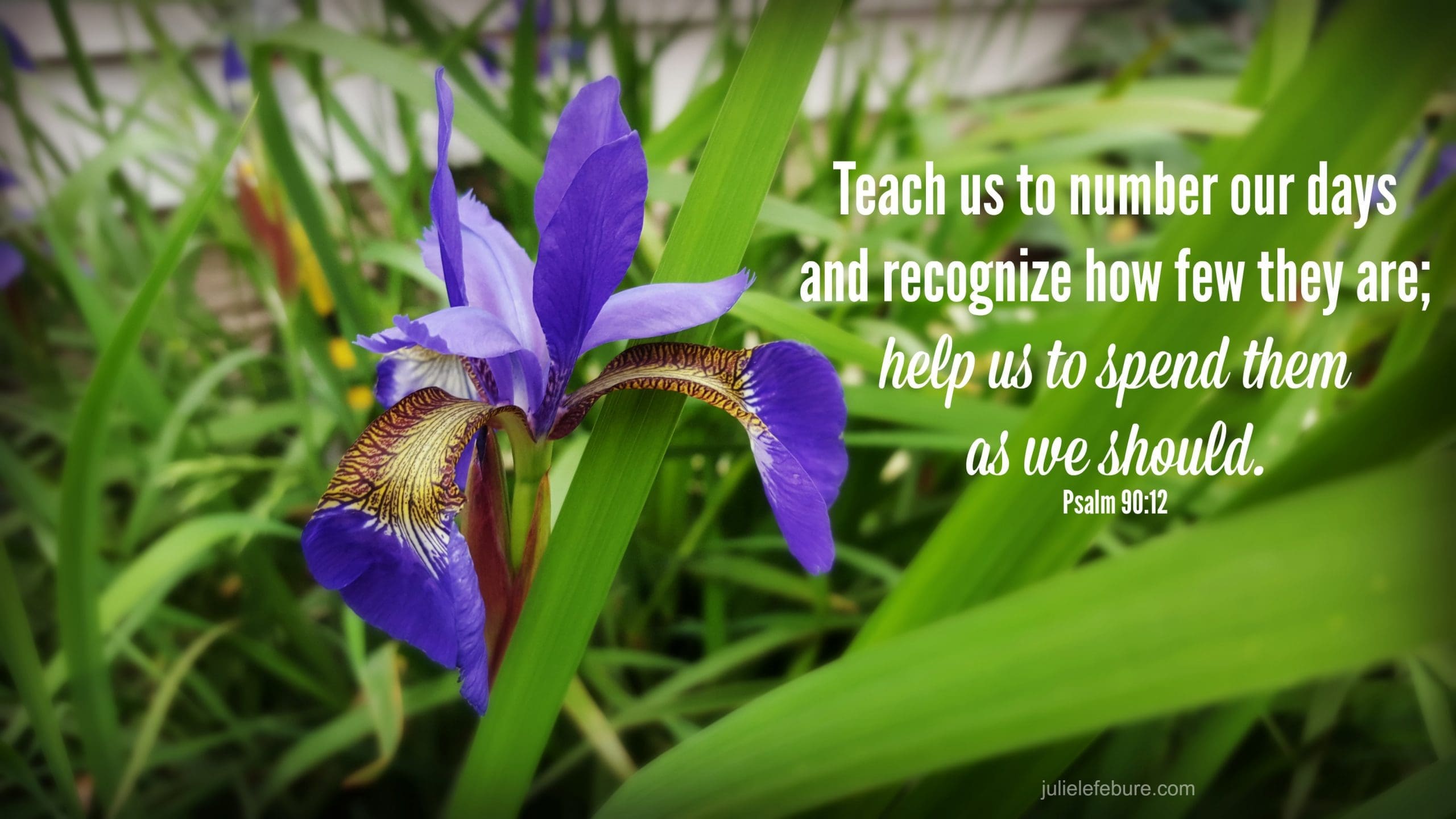 Living With No Regrets: #bestsummerever