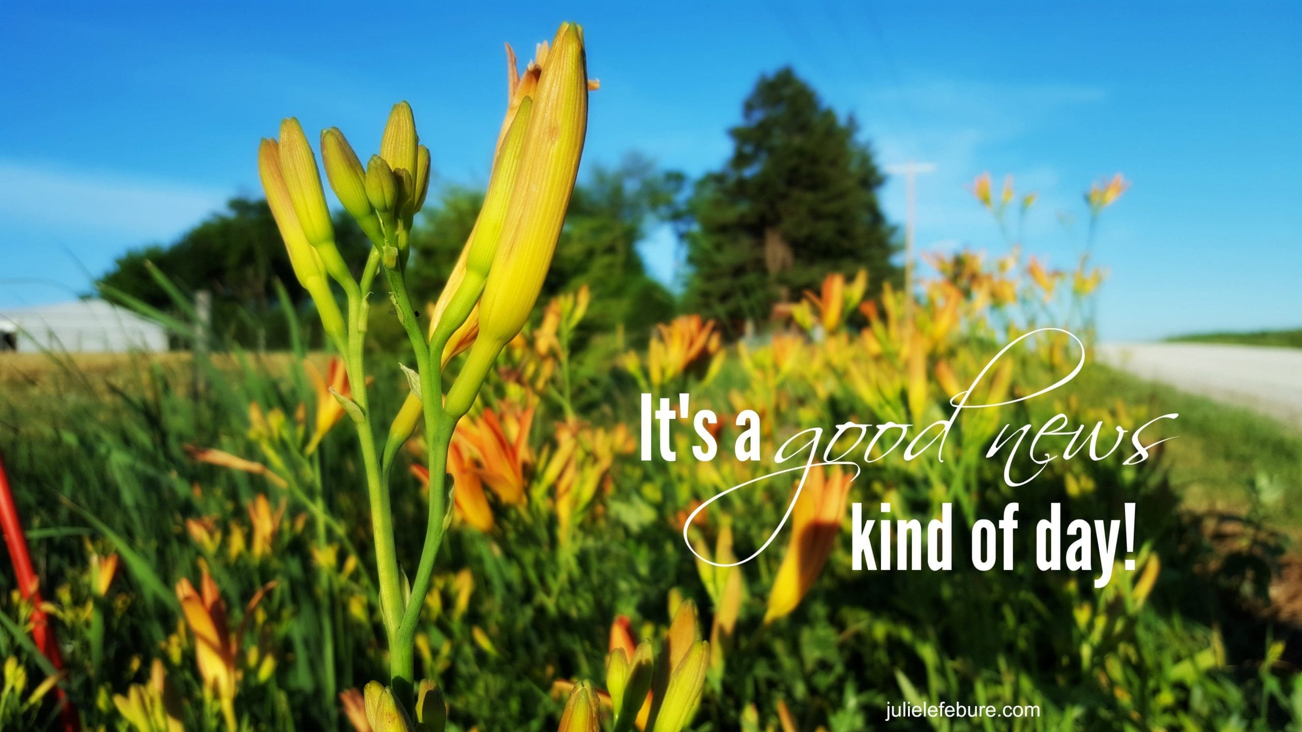 It’s A Good News Kind Of Day