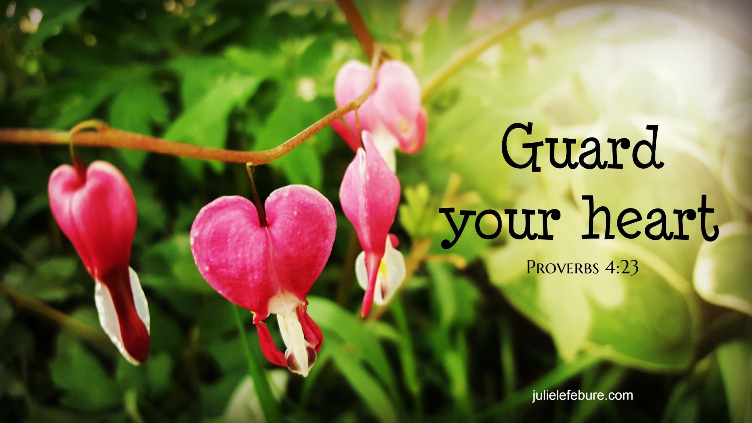 Five Minute Friday – Protect