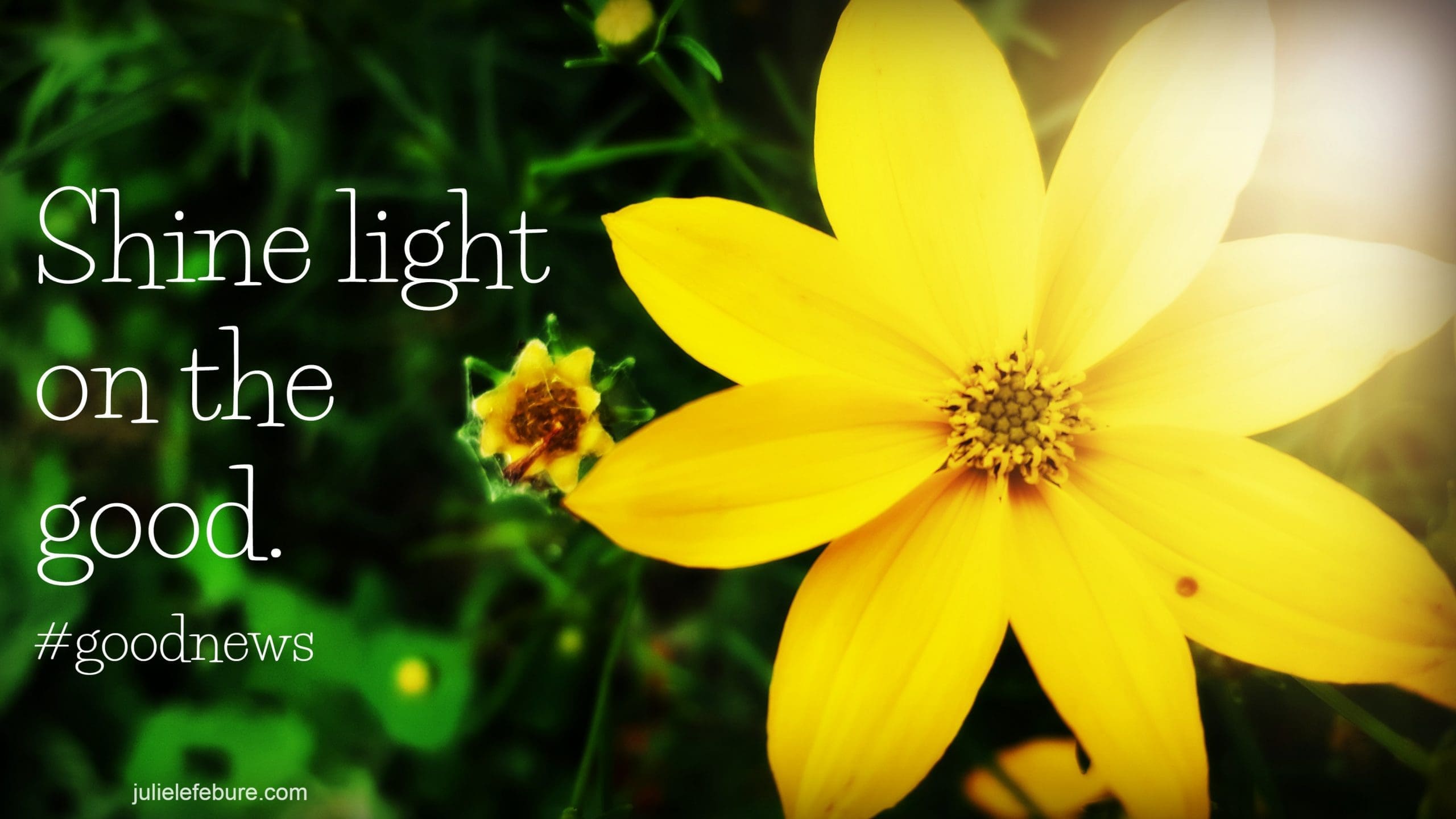 When You Have To Intentionally Look For The Good