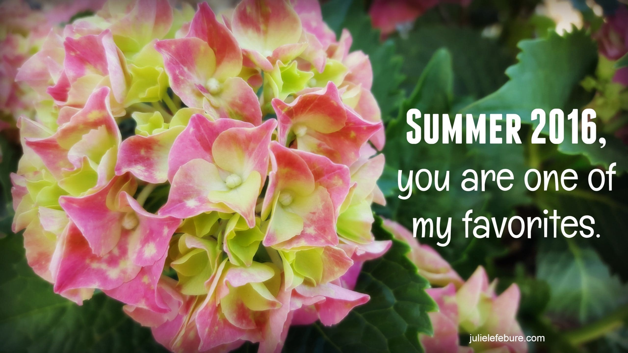 Summer 2016, You Are One Of My Favorites