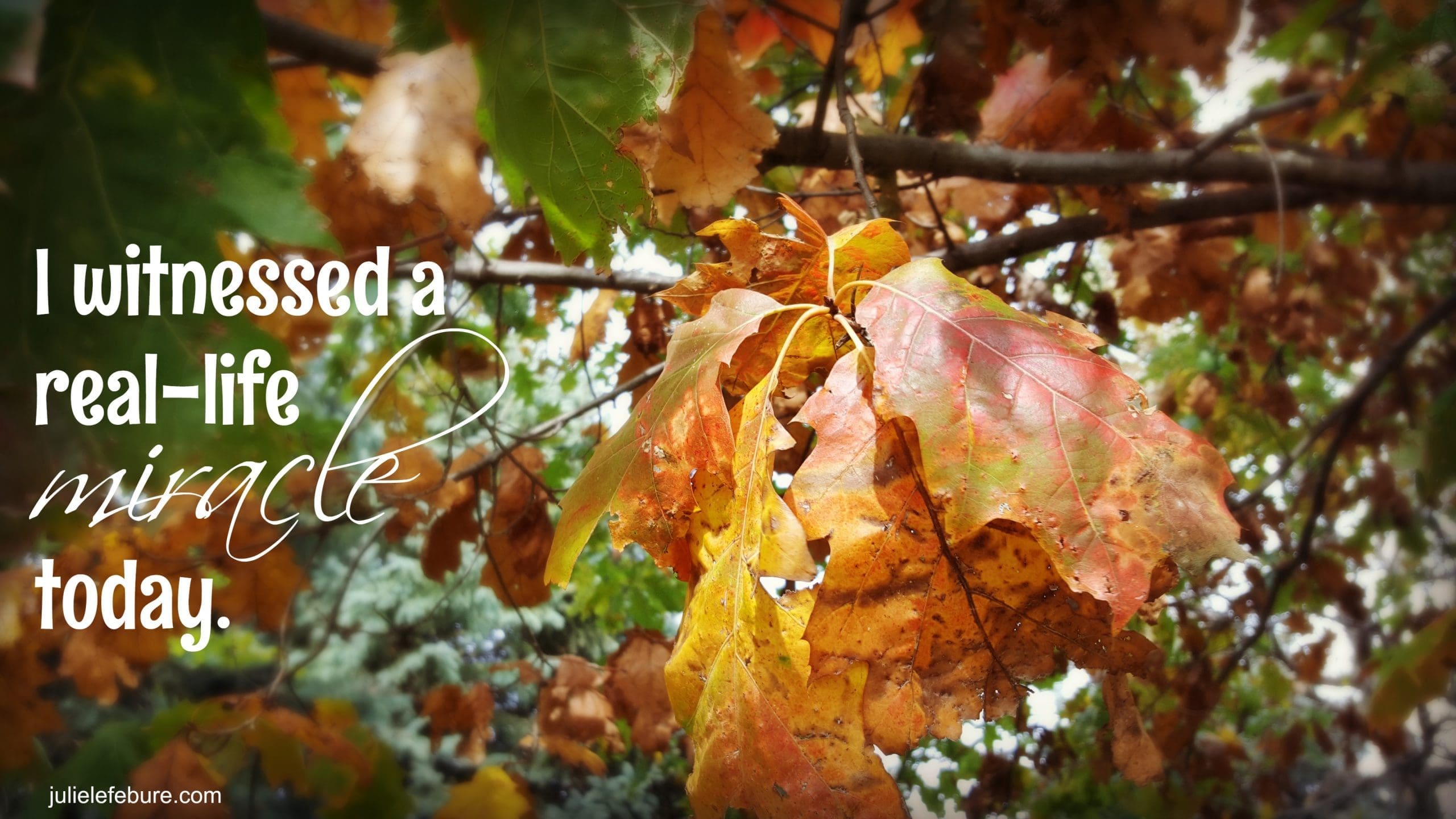 I Witnessed A Real-Life Miracle Today