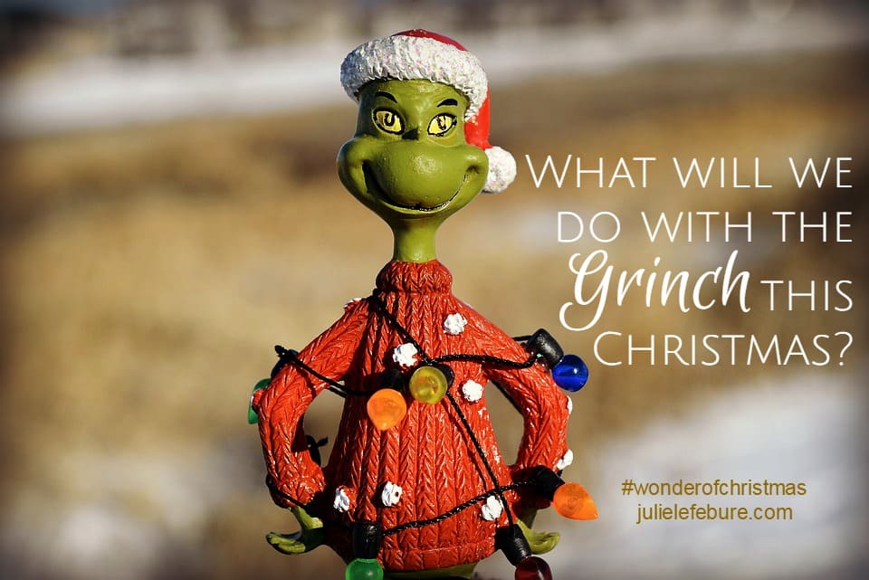 What Will We Do With The Grinch? – The Wonder Of Christmas