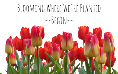 Blooming Where We’re Planted – Begin