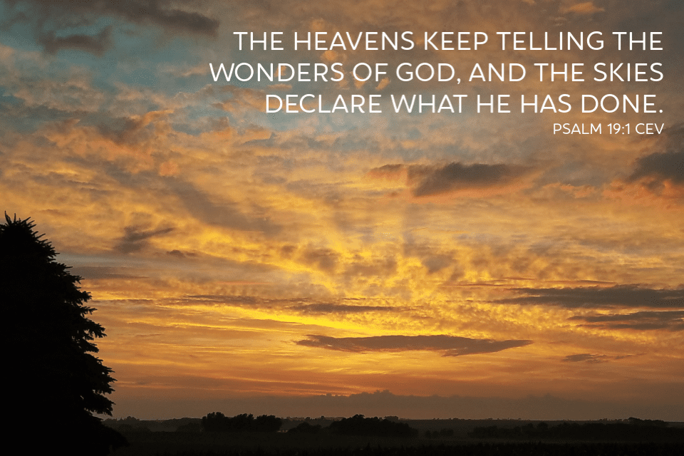 Skies declare