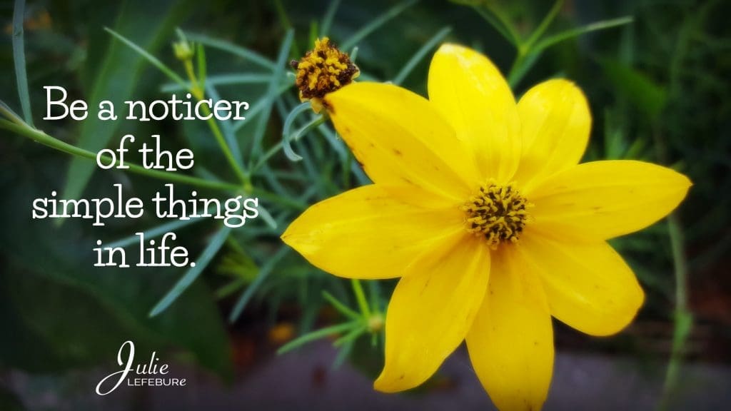 Be a noticer of the simple things in life.