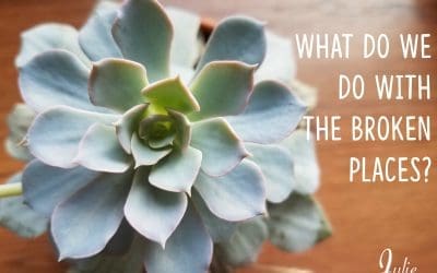 What Do We Do With The Broken Places?