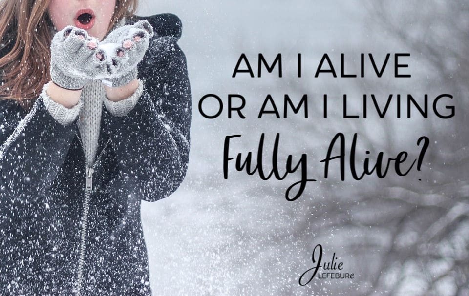 Am I alive or am I living fully alive?