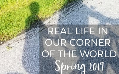Real Life In Our Corner Of The World – Spring 2019