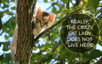 Really, The Crazy Cat Lady Does Not Live Here