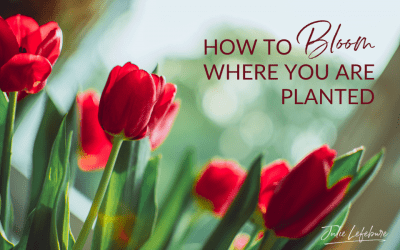 31. How To Bloom Where You Are Planted – Part 1