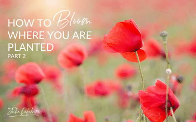 32. How To Bloom Where You Are Planted – Part 2