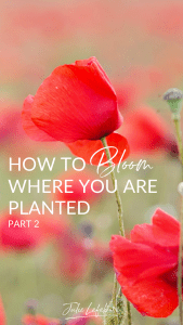 How to bloom where you are planted - part 2