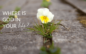 Where Is God in Your life? flower poking through sidewalk