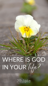 Where Is God in Your Life?   flower growing in crack of sidewalk