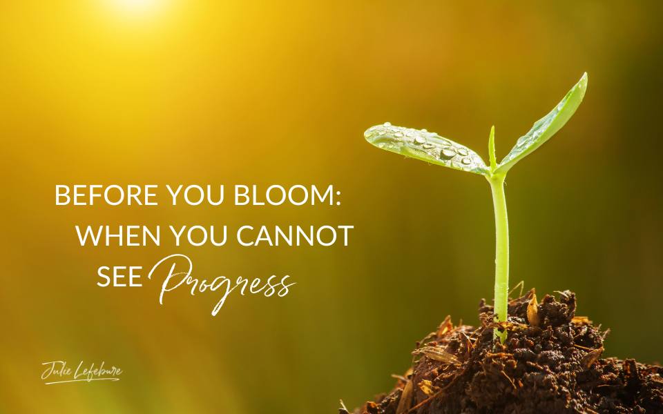 Before You Bloom: When You Cannot See Progress | small seedling growing through dirt
